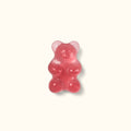 Bogg Bit Fruit Punch Gummy Bear Yacht Day Travel Organizer Ultra Durable Large Capacity Deep Storage Interior for Beach Holidays